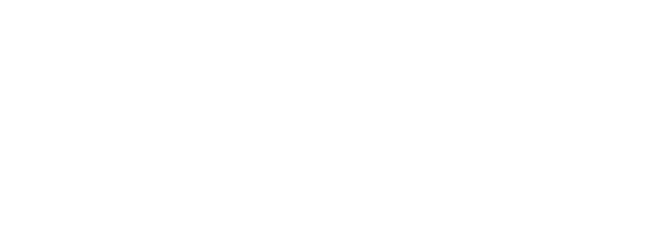 Panther Vietnam, kit partner